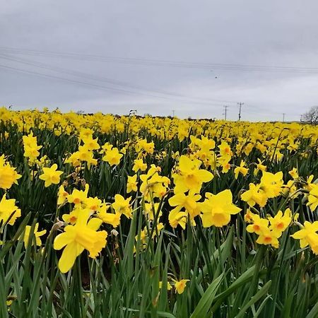 彭赞斯Cosy Country Getaway, 5 Mins From The Sea别墅 外观 照片